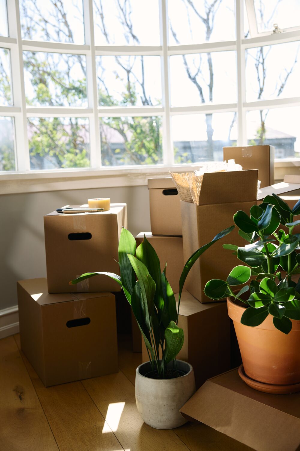 Það geta allir tekið Núlán í Arion appinu