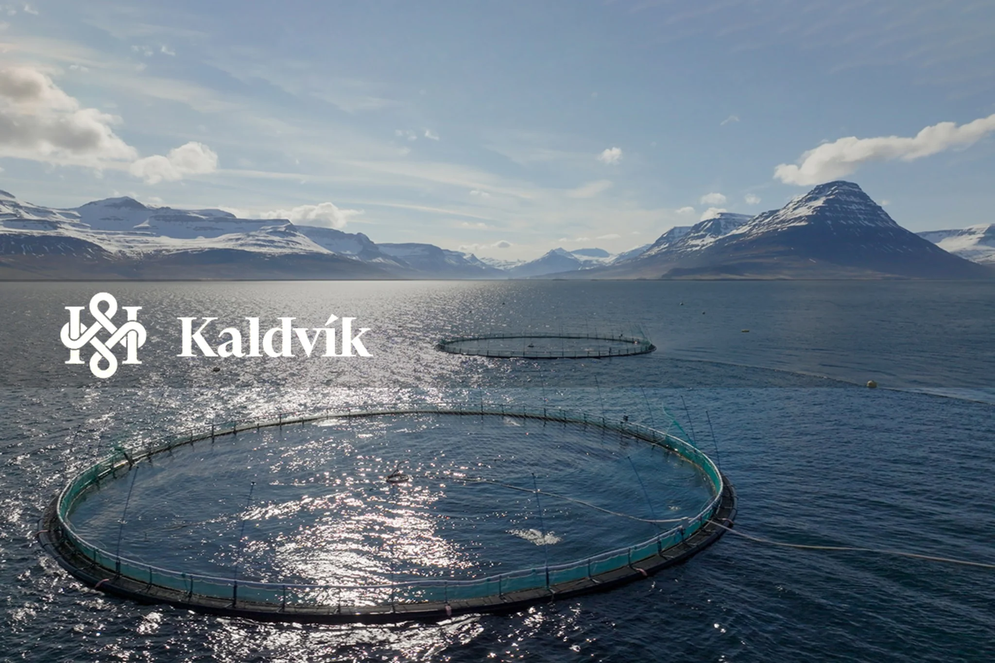 Kald Rik Kaldvík lýkur 6,6 milljarða króna hlutafjáraukningu - Arion banki