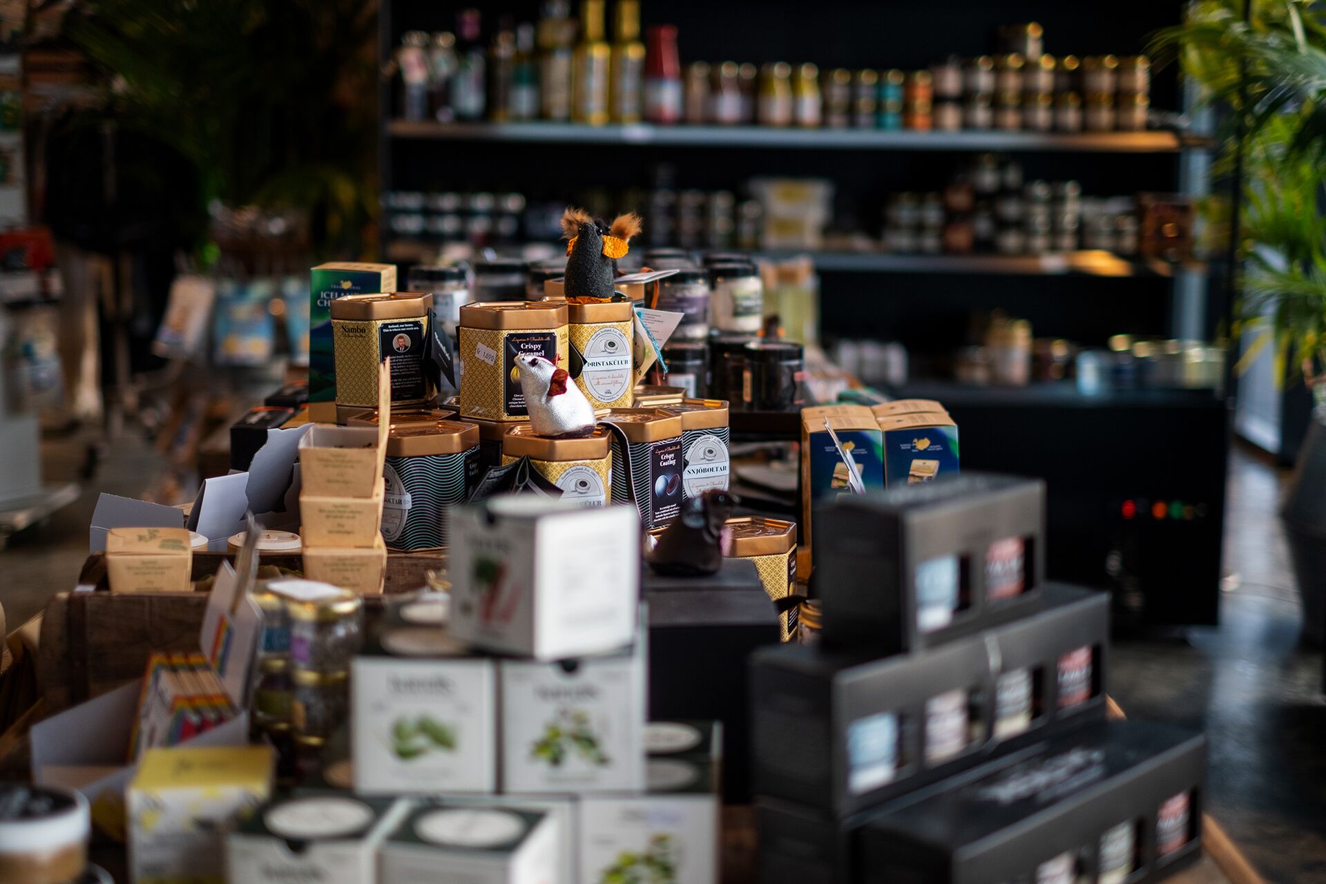 Fyrirtæki - móttaka