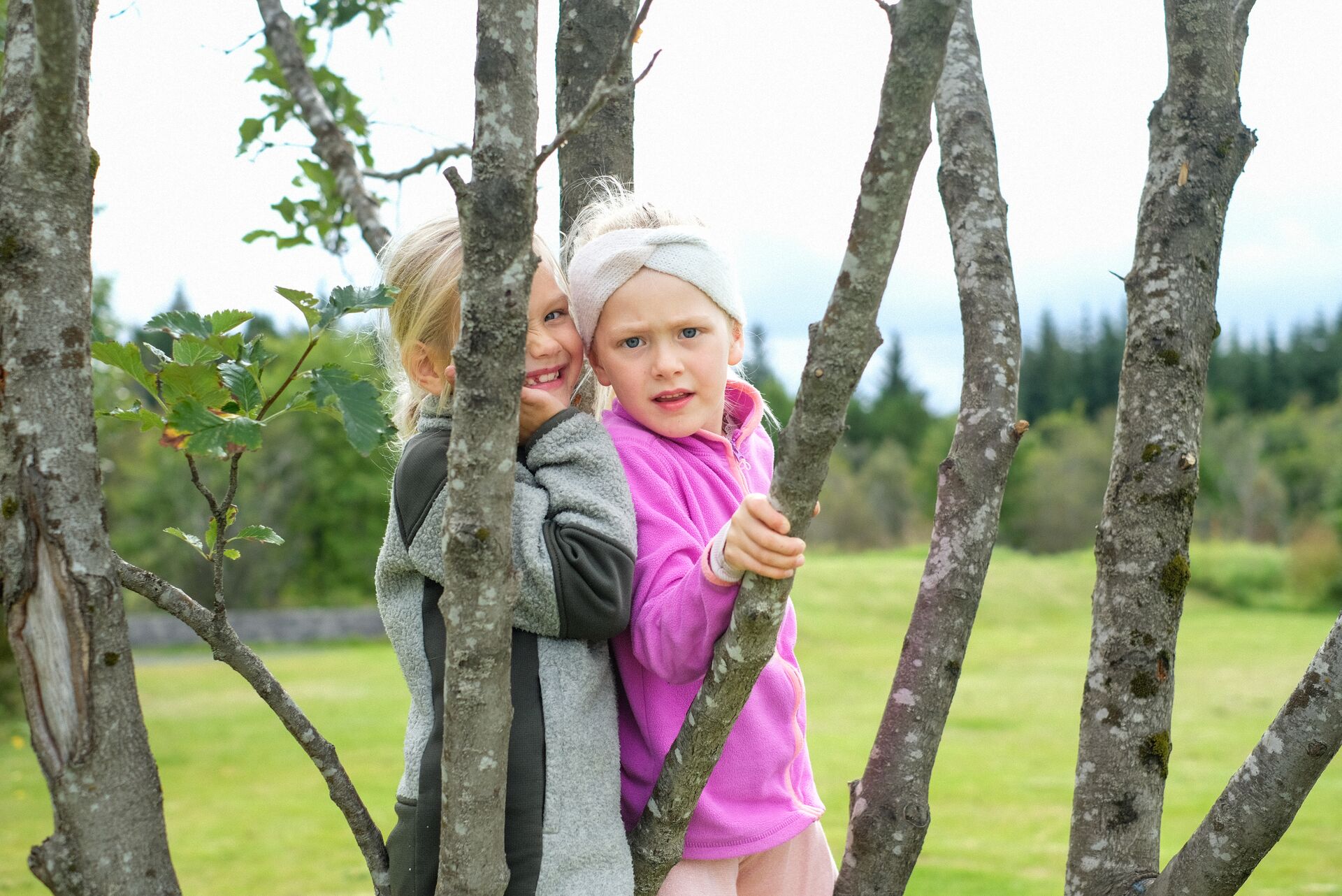 Arion fríðindi - stelpur í trjám