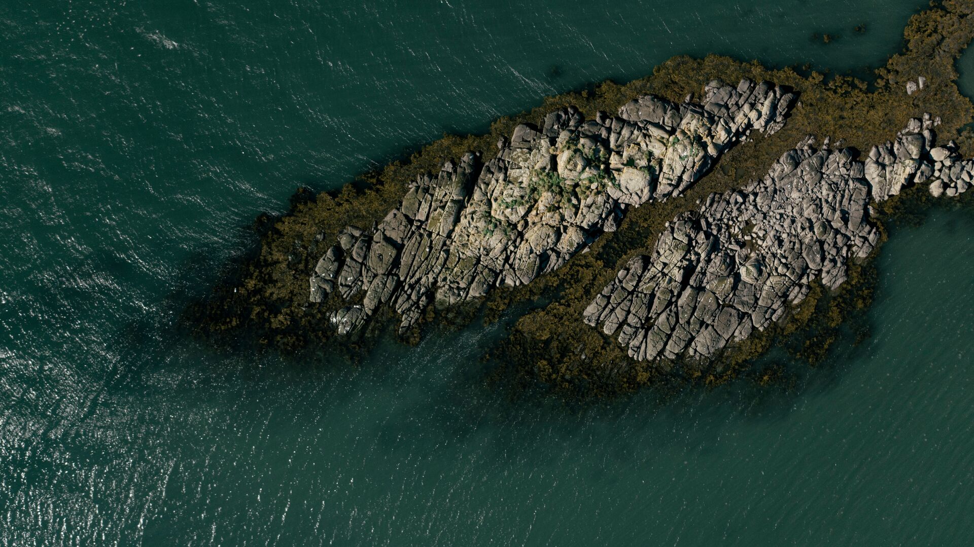 Large-DJI_0154 (1).jpg