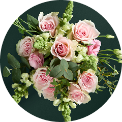 Just arrived flowers