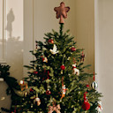 Christmas Trees
