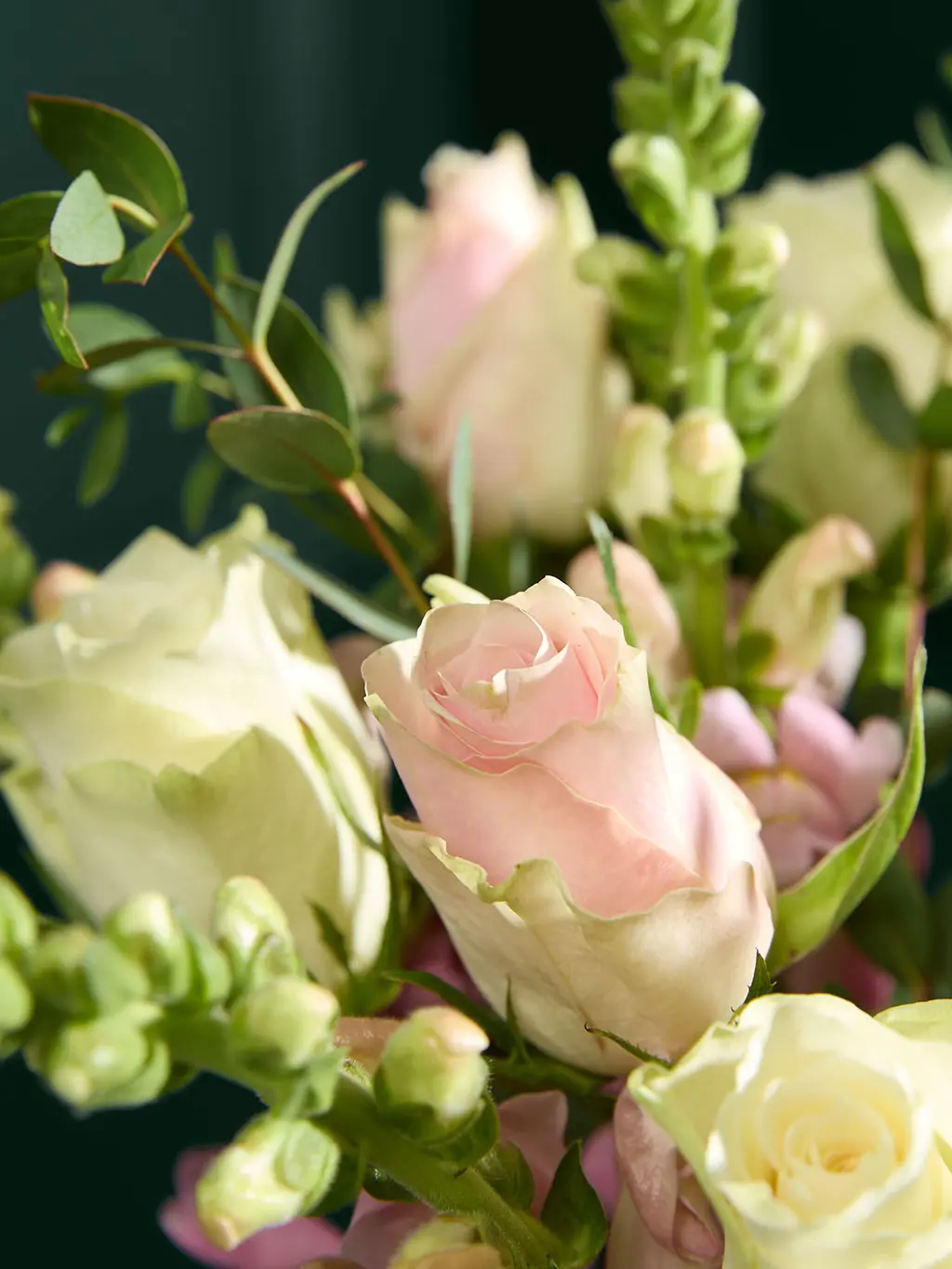 Close up of pink rose in bouquet