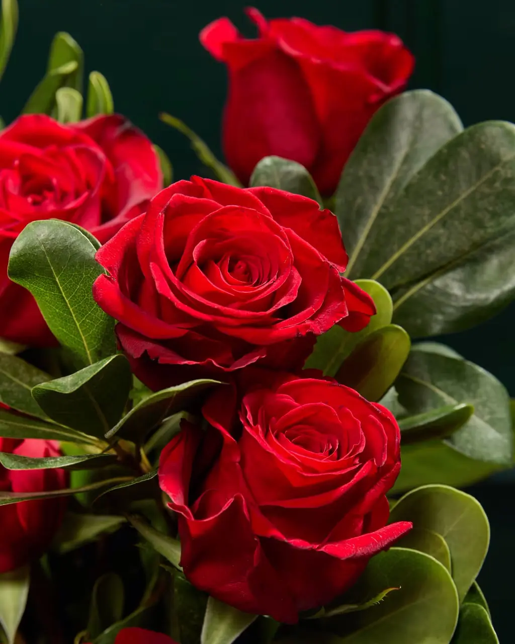 Close-up of a bouquet of red roses