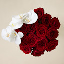 Celebrity Collections