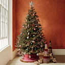 Christmas Trees