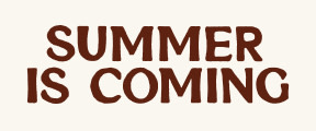 SKINNY BANNER 288X120