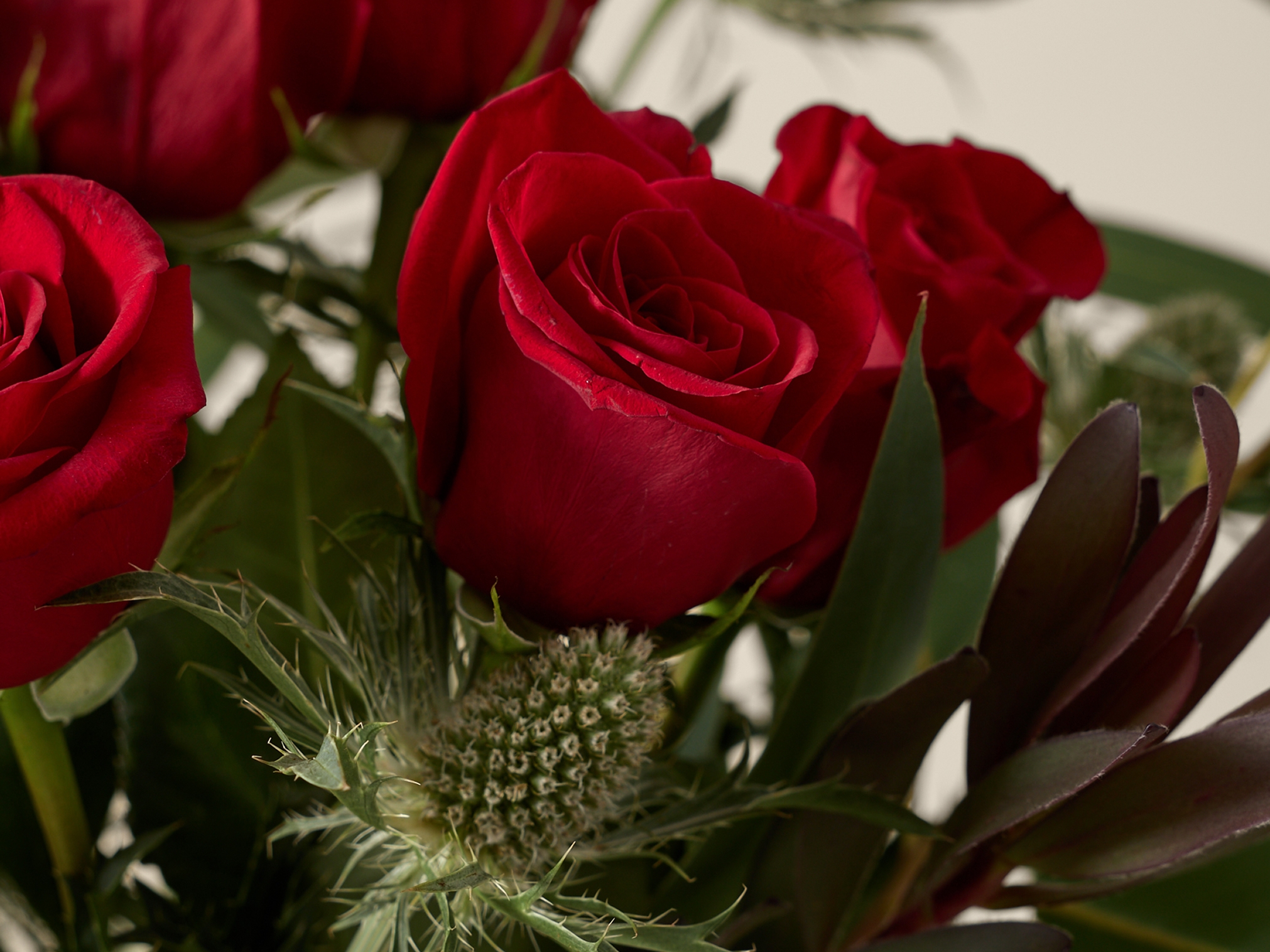 DESKTOP HERO 1A FLowers