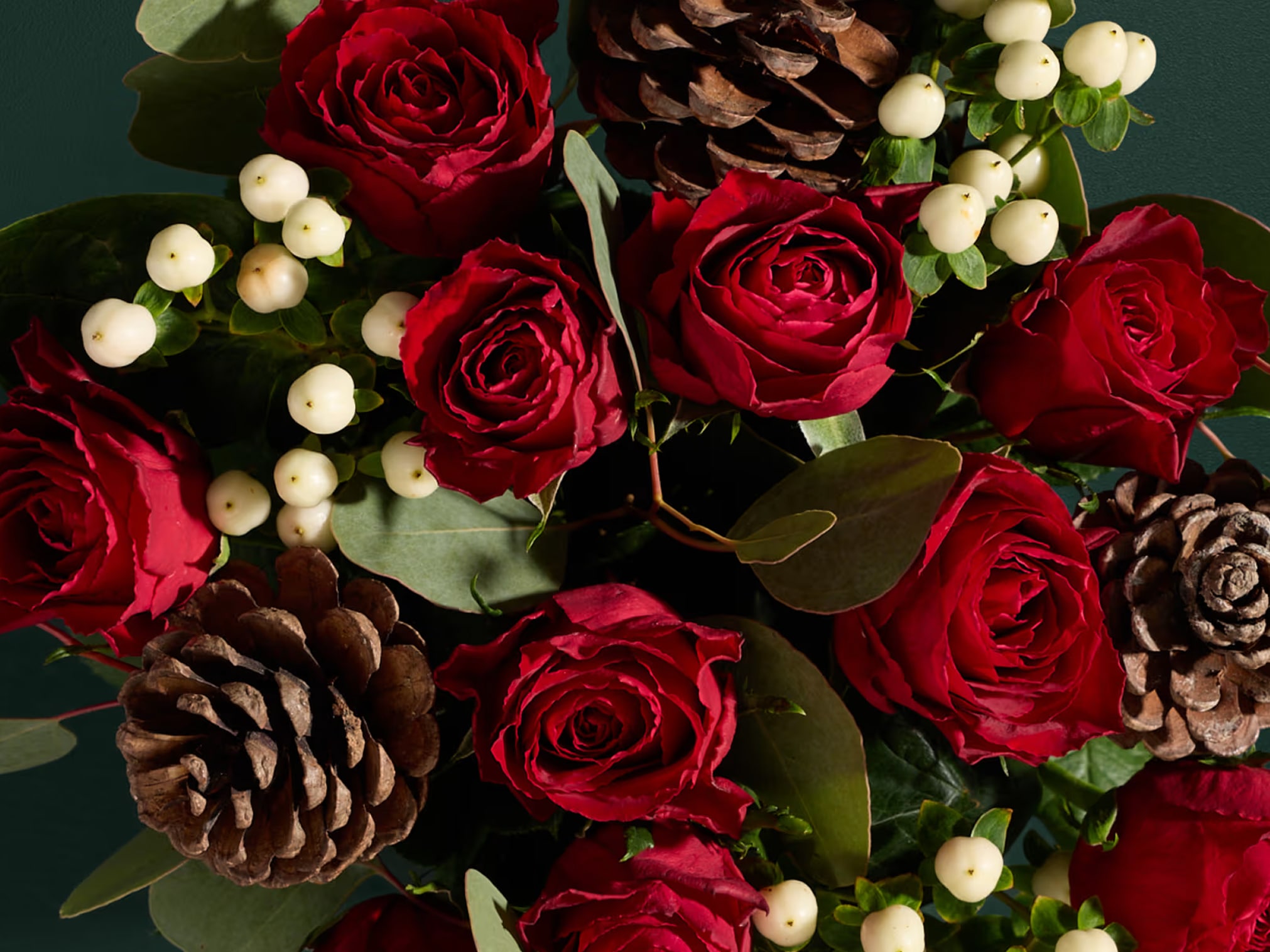 Festive flowers - HP - UK&IE - 18122025