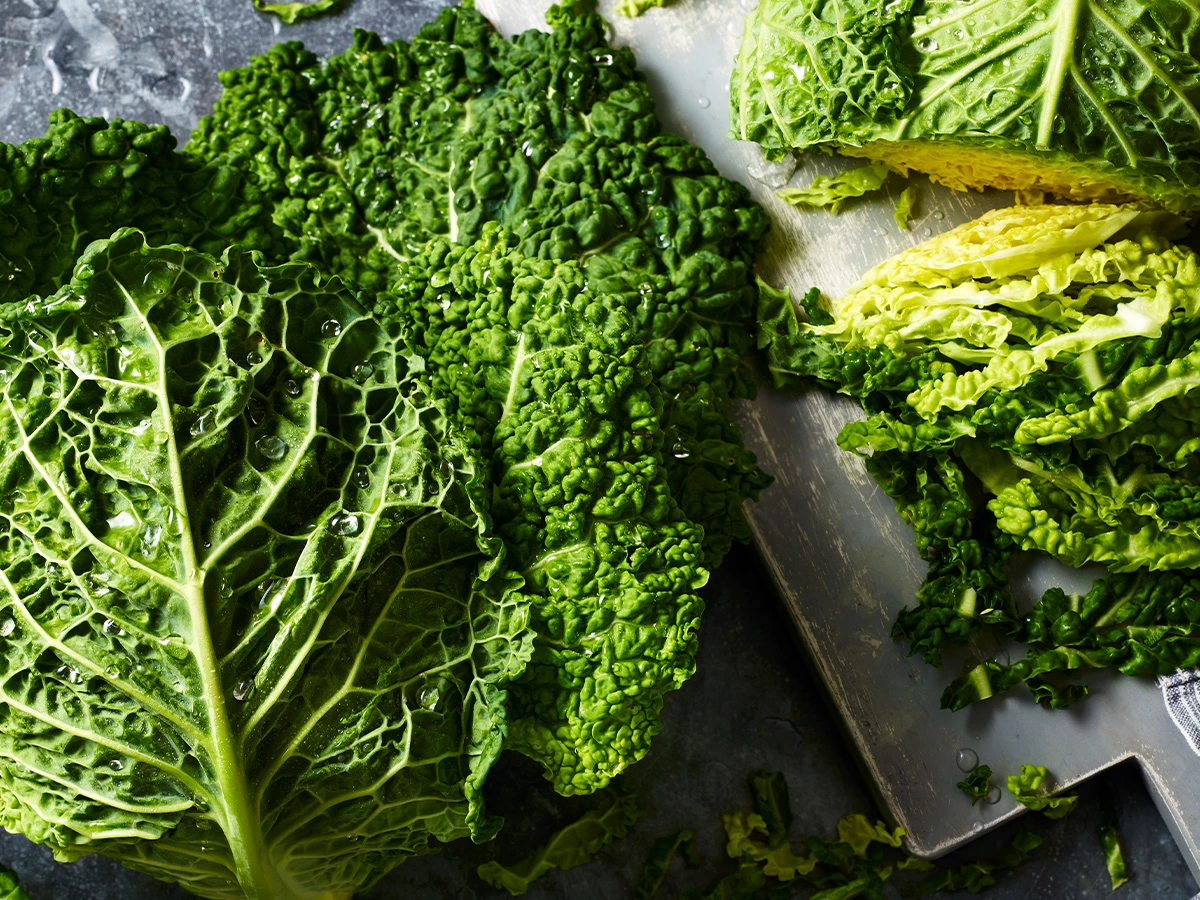 savoy cabbage leaves