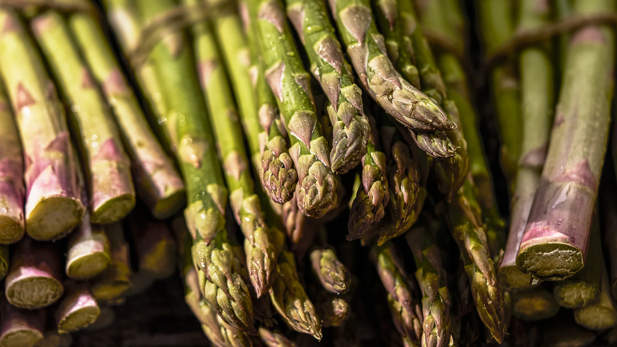 Close-up of asparagus spears in bunches