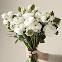 Celebrity Collections