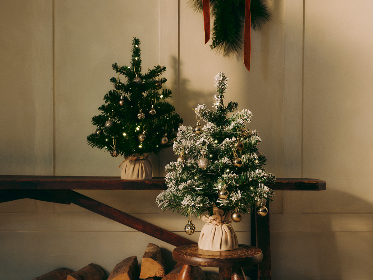 Two small Christmas trees
