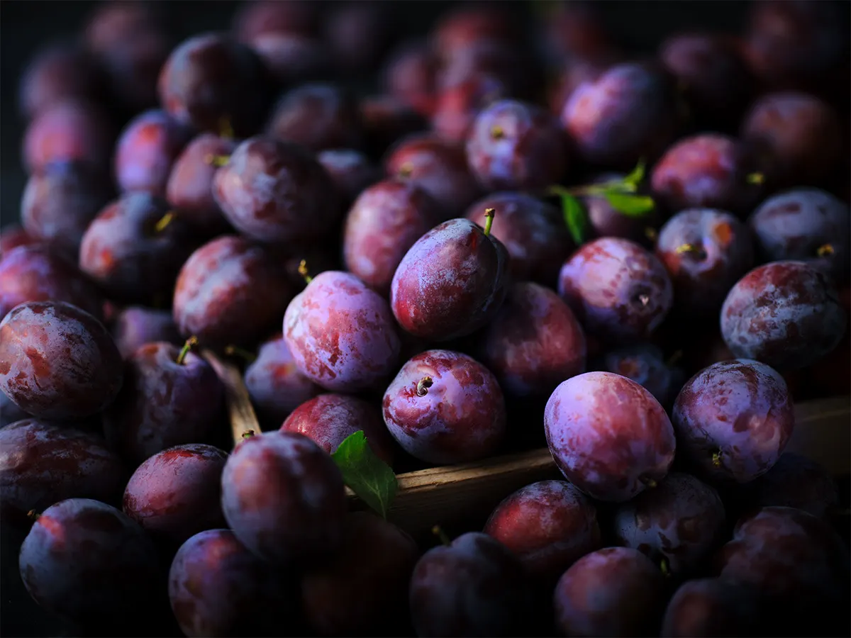 Dark purple plums