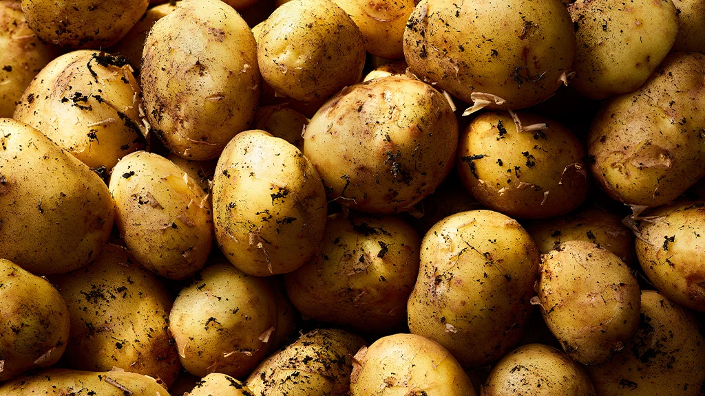 Types Of Potatoes A British Seasonal Guide M S Food types-of-potatoes-a-british-seasonal-guide-m-s-food
