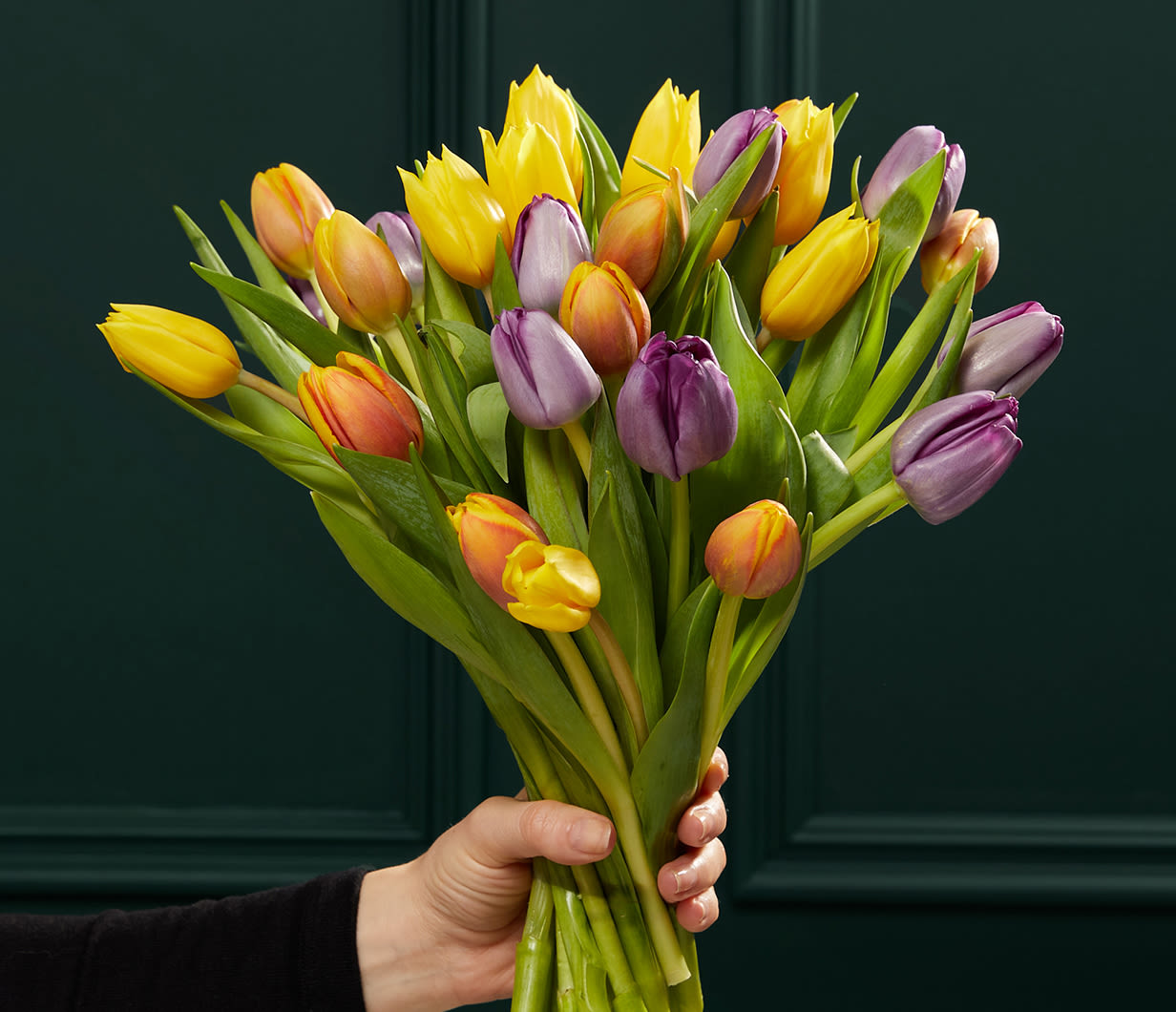 CONTENT CARD1 1232X1060- lilly