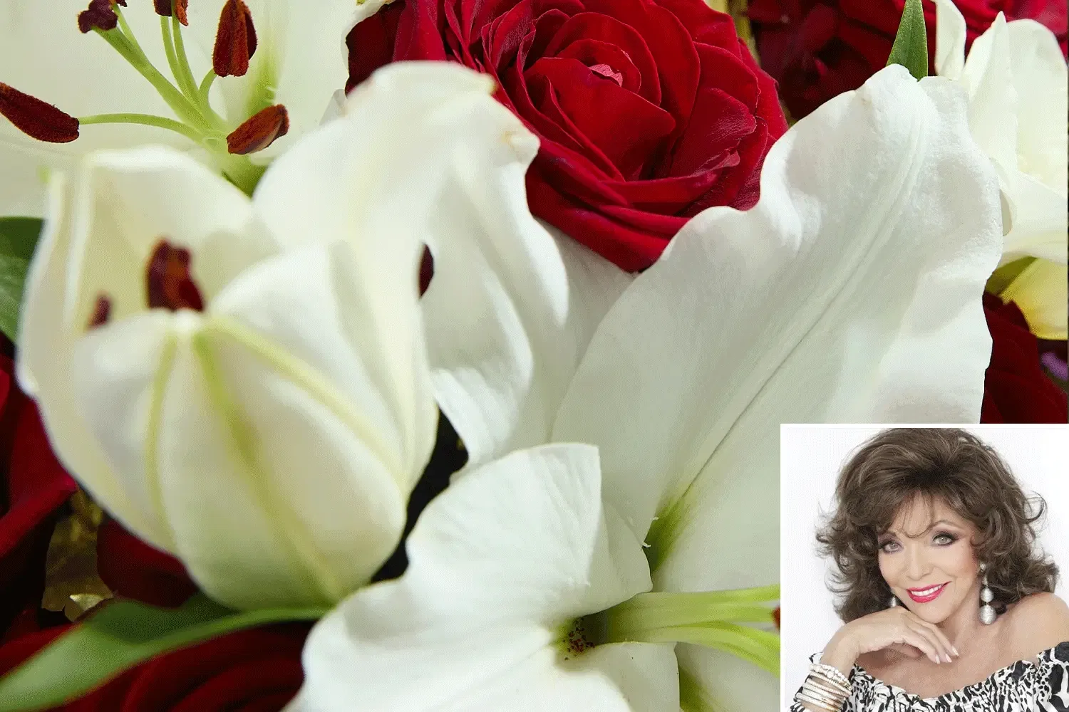 Celebrity collection. SHop now