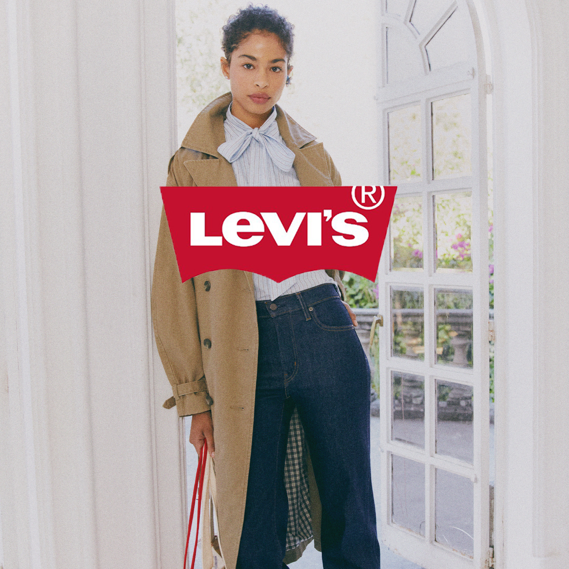 levi DLP 1858x1858