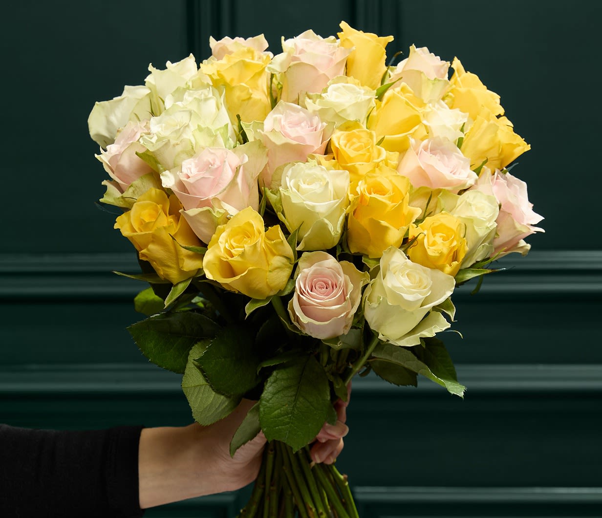 content card 1232x1060 (1)