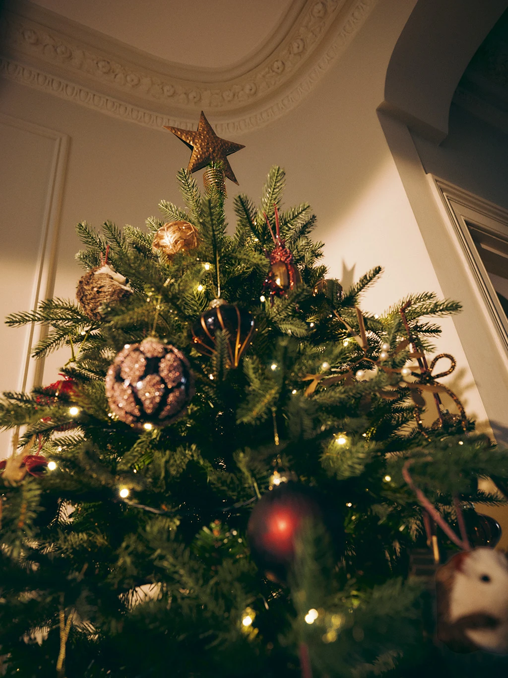 Christmas tree decorated with red baubles and a gold star tree topper.