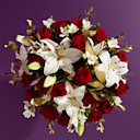 Christmas Flowers & Plants