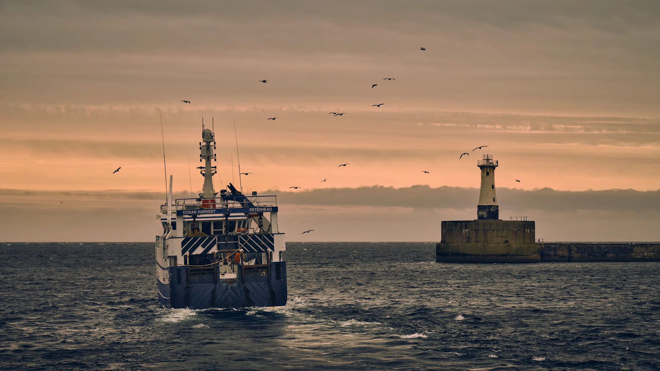 Boat on sea at sunset