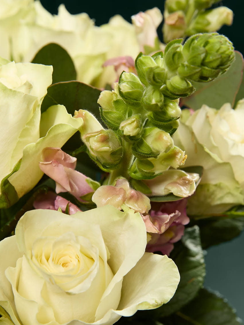 DESKTOP TRIO 851X1130-2