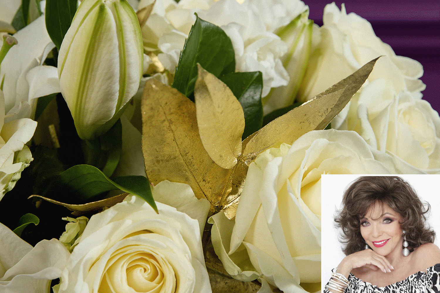 Celebrity collection