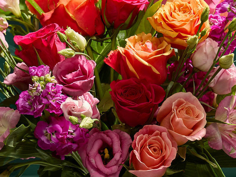 CONTENT CARDS5 800X600