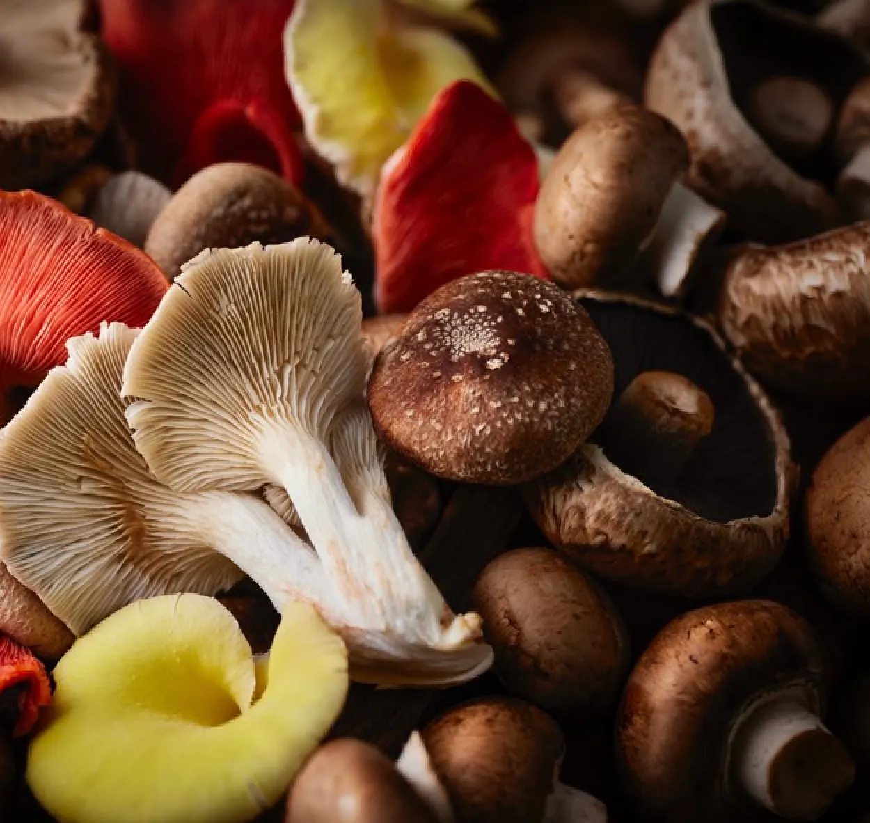 Mushrooms