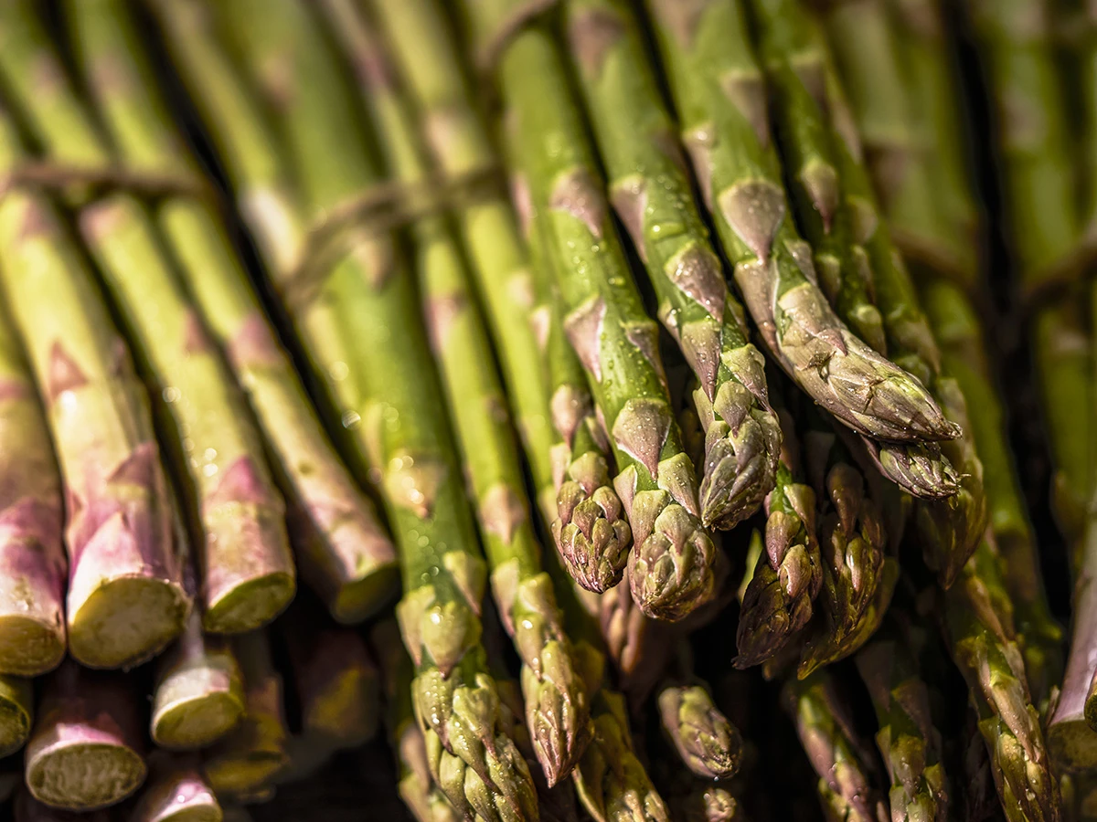 british asparagus