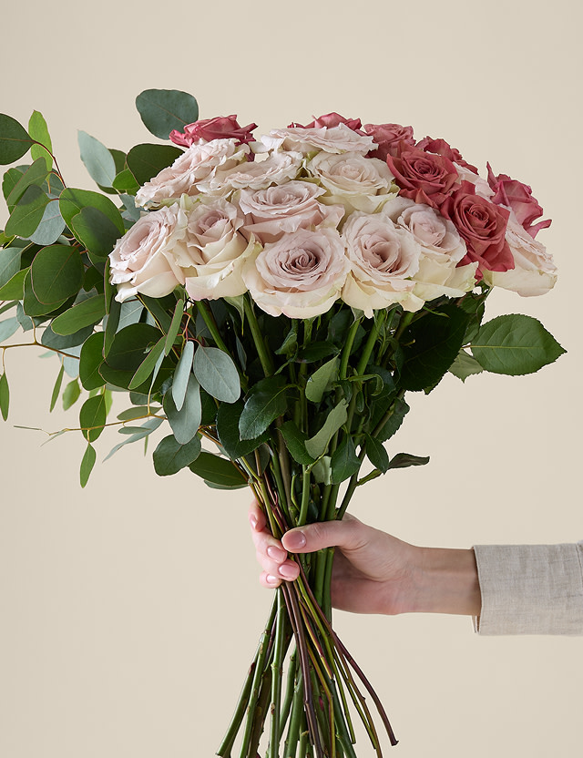 Celebrity Collection