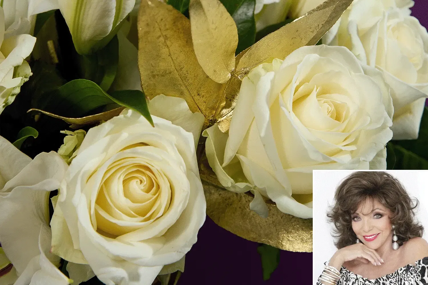 Celebrity collection