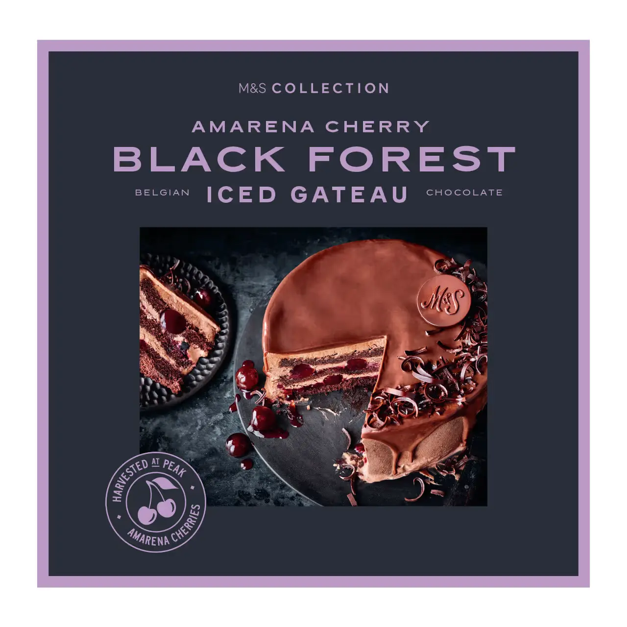 Black Forest Iced Gateau