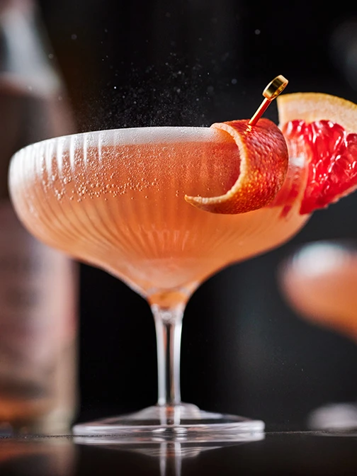 Ultimate Guide to the Best Gins | M&S Food