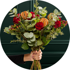 Christmas flowers & plants