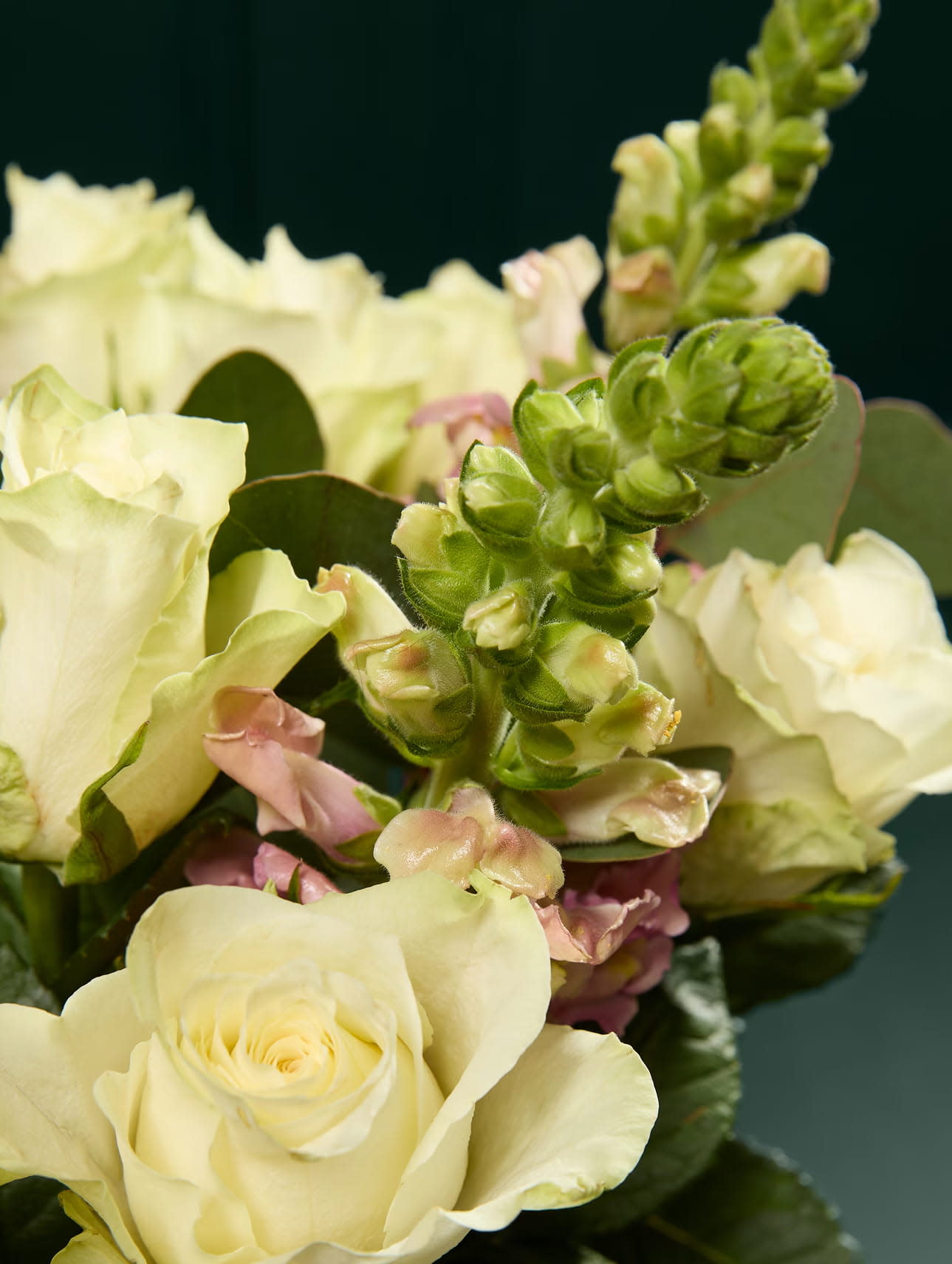 MOB DOUBLE 750x997-1