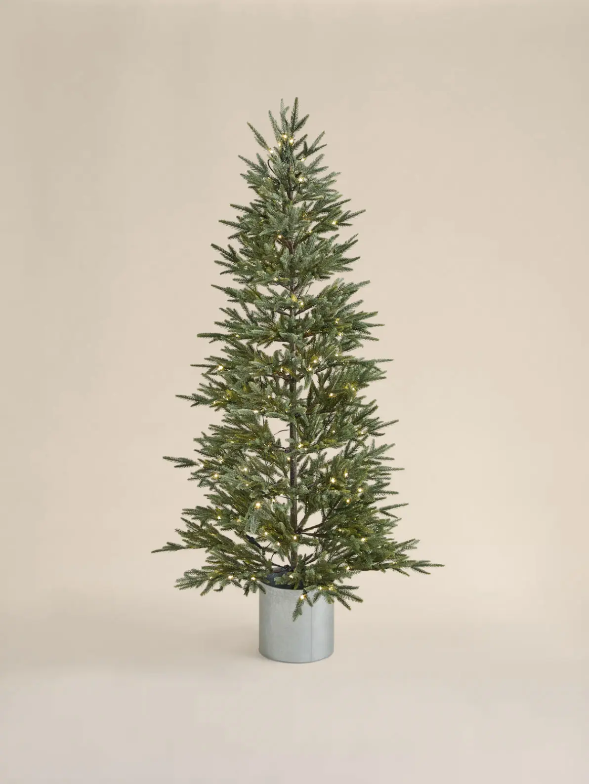 Image of Christmas tree 