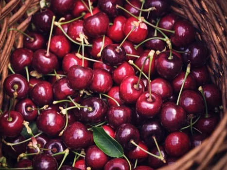 Basket of King Cherries