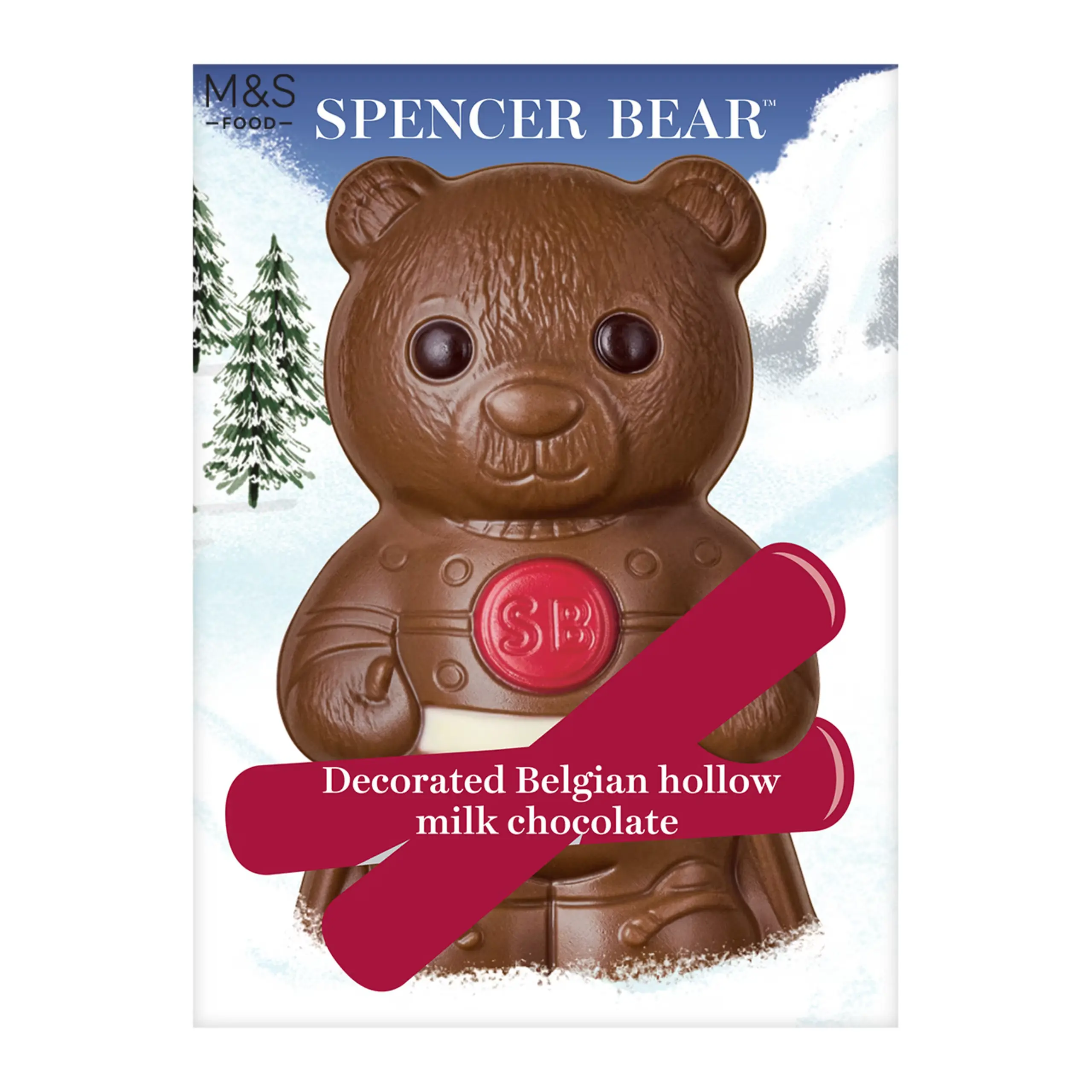 Winter Sports Spencer Bear