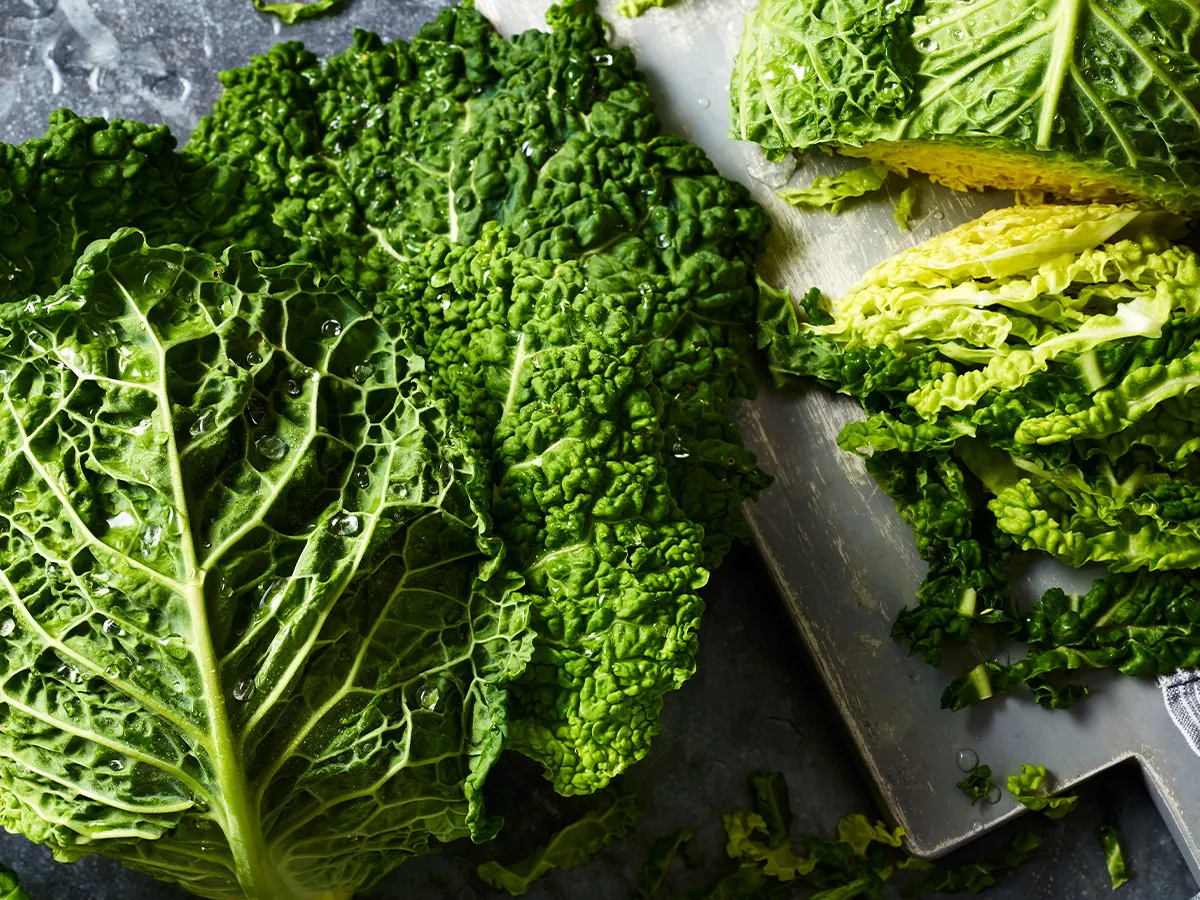 Savoy cabbage