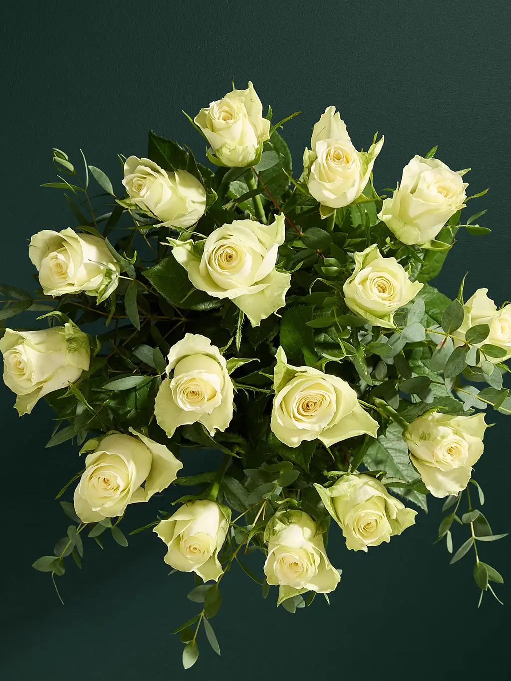 Close up of white roses