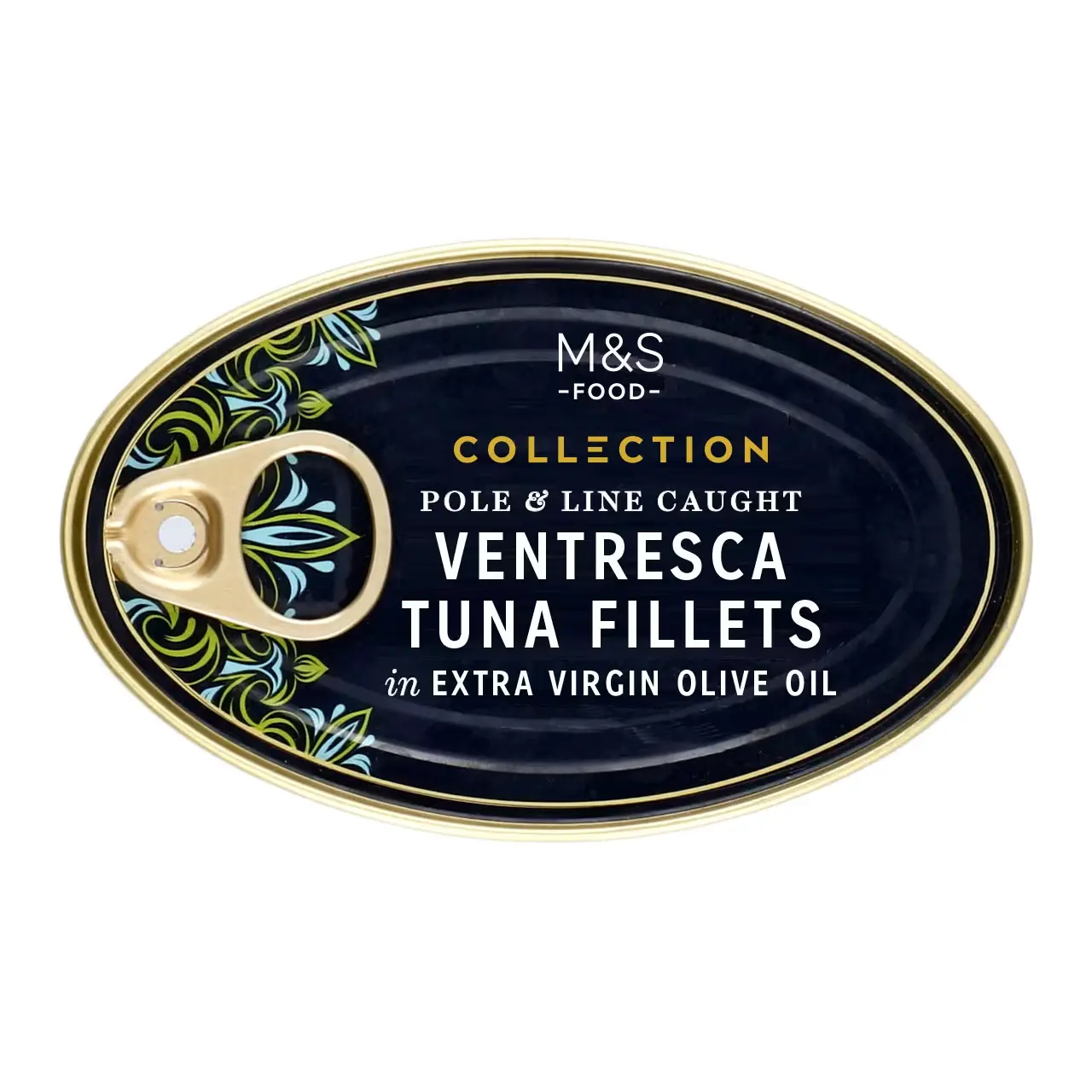 Collection Ventresca Tuna Fillets