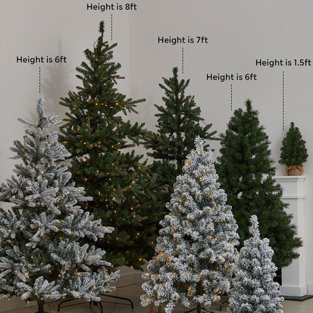 20230908 SL-LONGER-FEATURE HW Christmas-Tree-Buying-Guide BSLH-10249 HERO