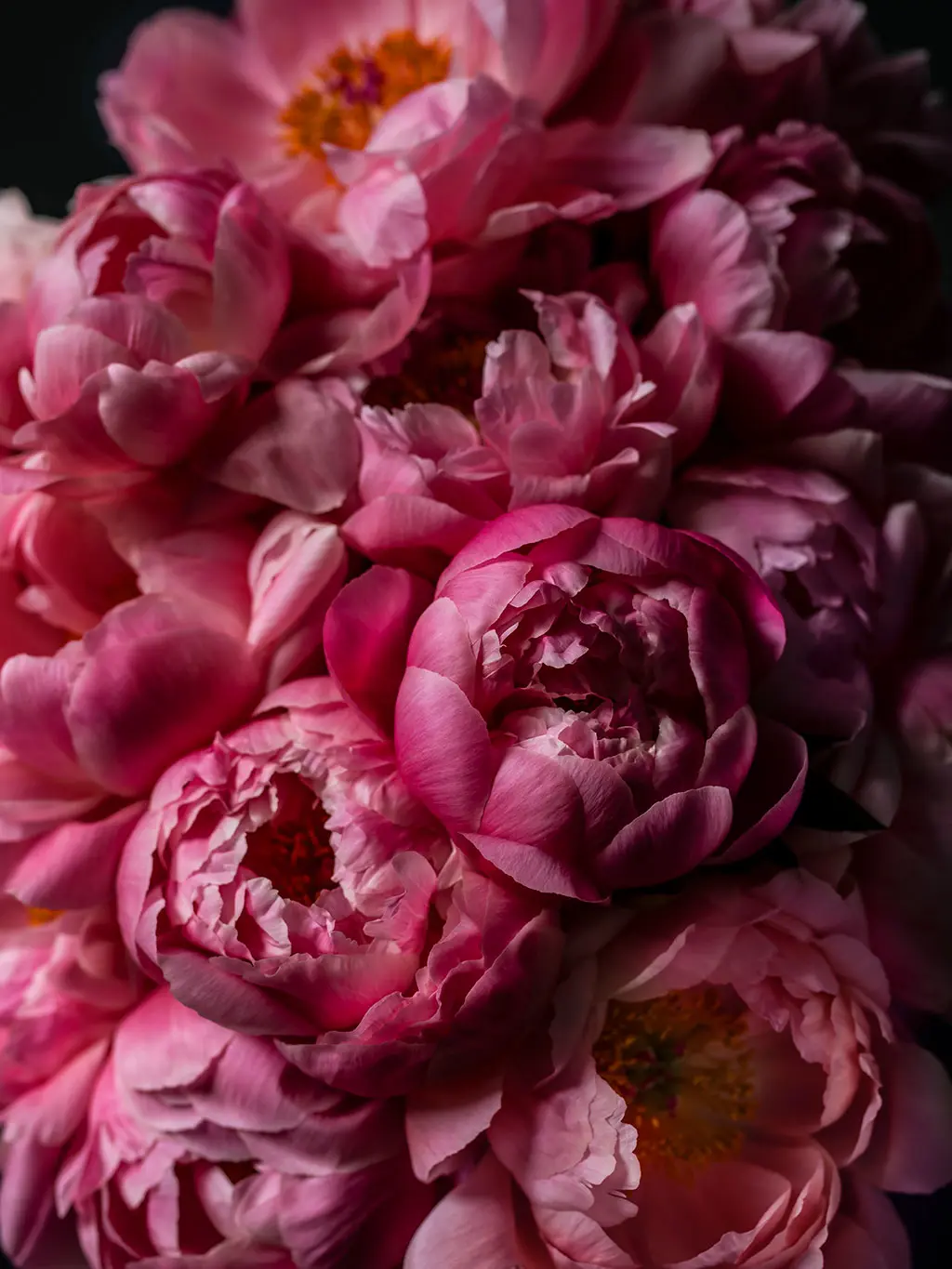 Pink pe