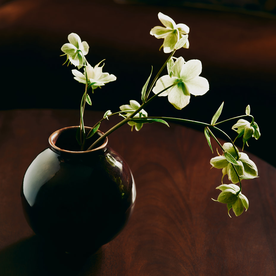 Flowers in vase