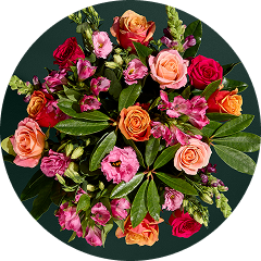 Next day deliver flowers
