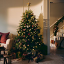 Christmas Trees