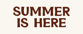 SKINNY BANNER 288X120